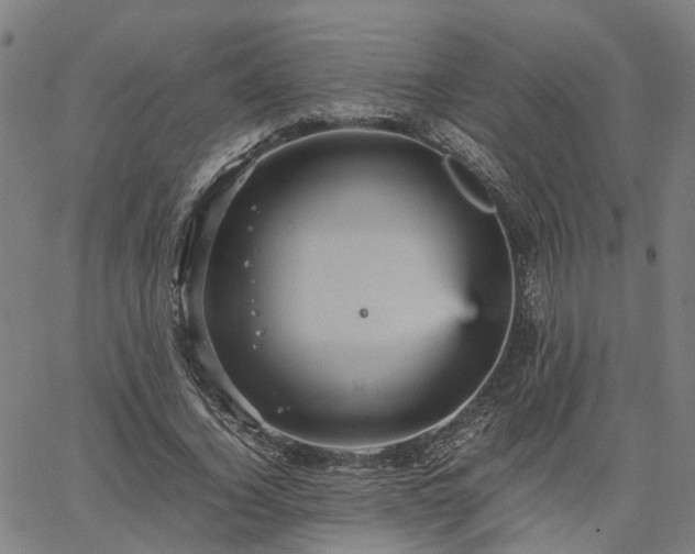 X0000067890732200604201308