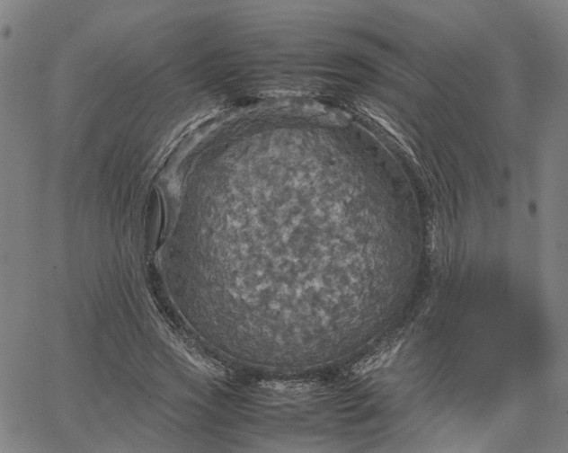 X0000067890733200604201308