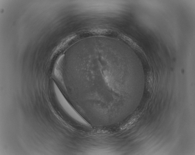 X0000067890734200604201308