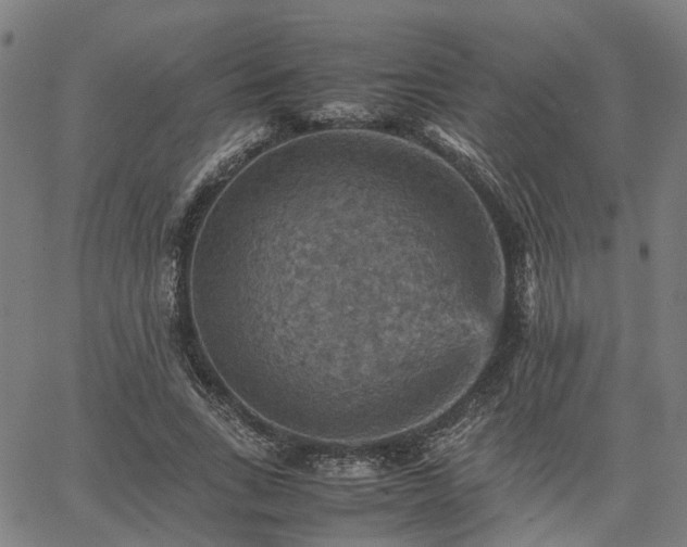 X0000067890735200604201308