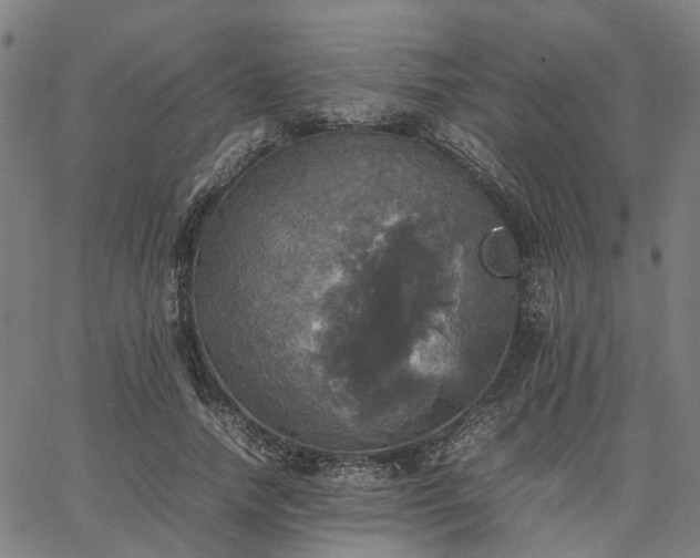 X0000067890738200604201308