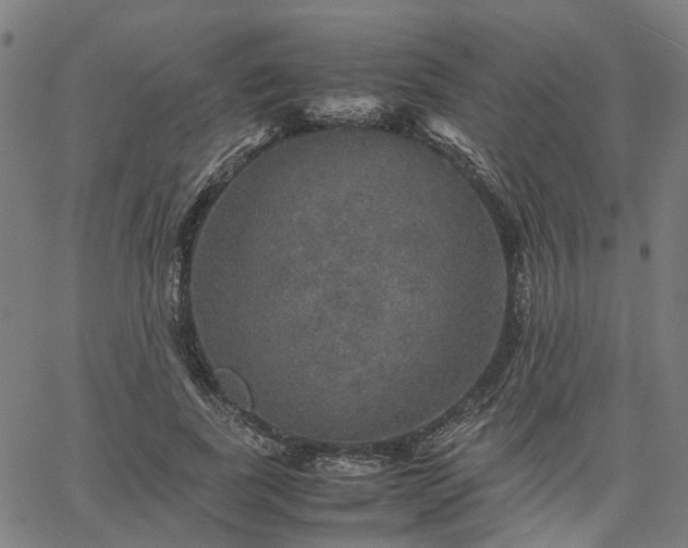 X0000067890739200604201308