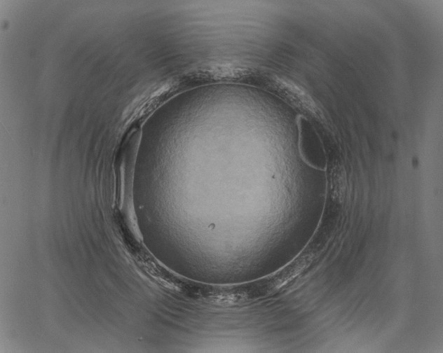 X0000067890740200604201308