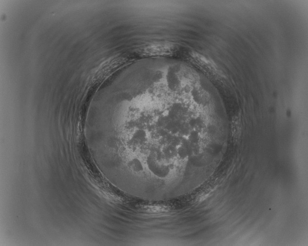 X0000067890741200604201308