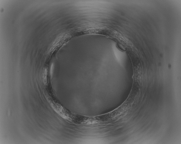 X0000067890742200604201308