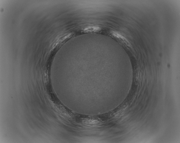 X0000067890743200604201309