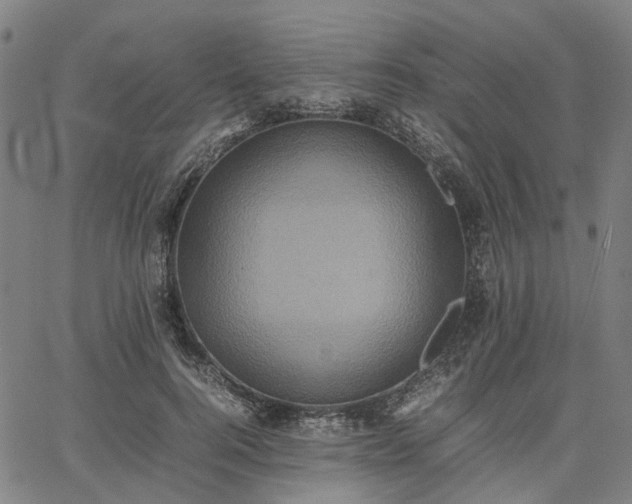 X0000067890744200604201309