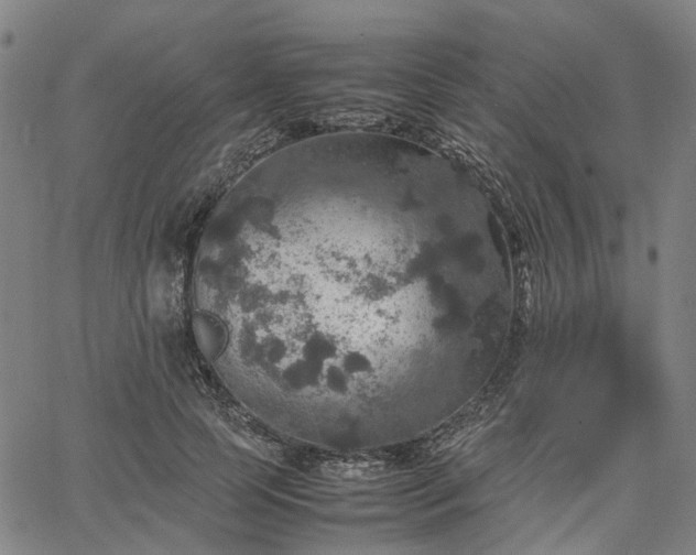 X0000067890745200604201309