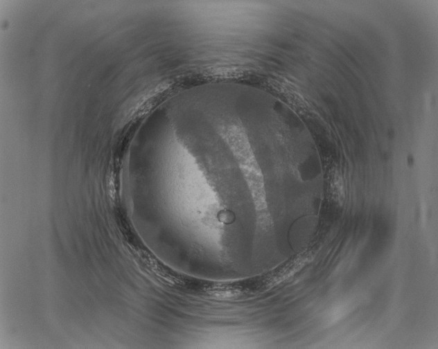 X0000067890746200604201309