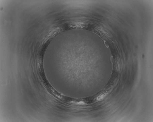 X0000067890747200604201309