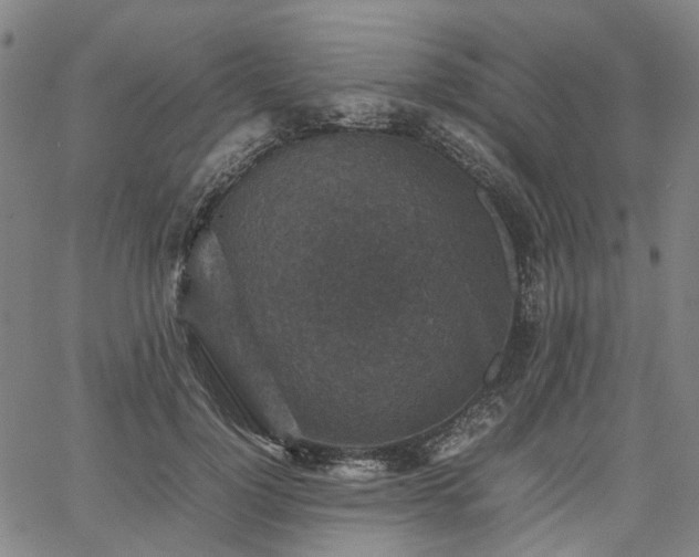 X0000067890748200604201309