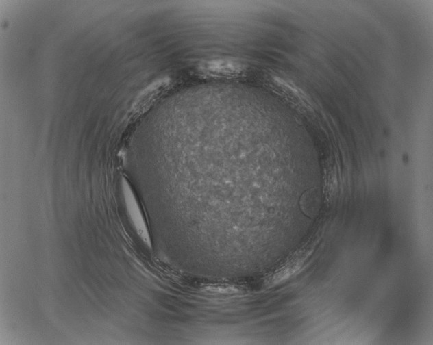 X0000067890749200604201309