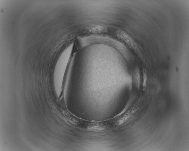 X0000067890750200604201309