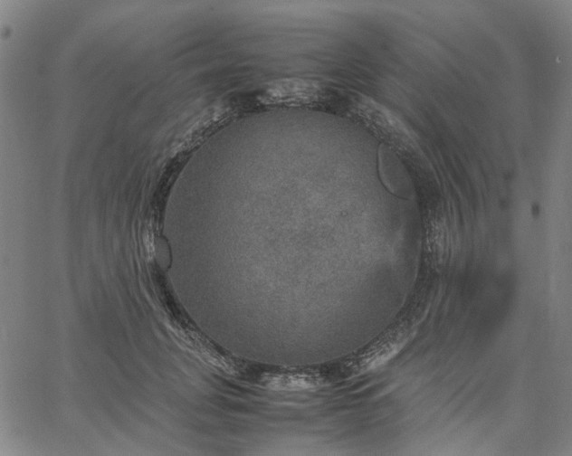 X0000067890751200604201309