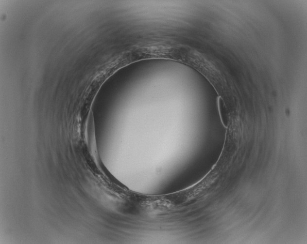 X0000067890752200604201309