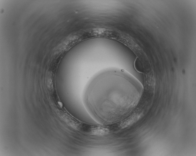 X0000067890754200604201309