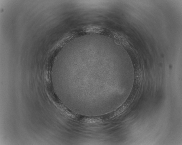 X0000067890755200604201309