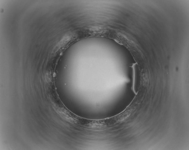 X0000067890756200604201309