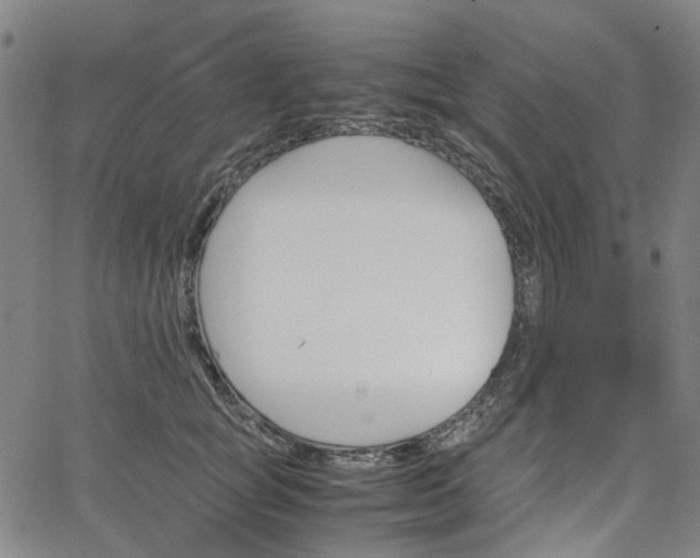 X0000067890757200604201309