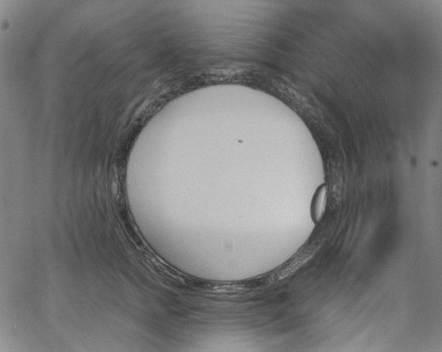 X0000067890758200604201309