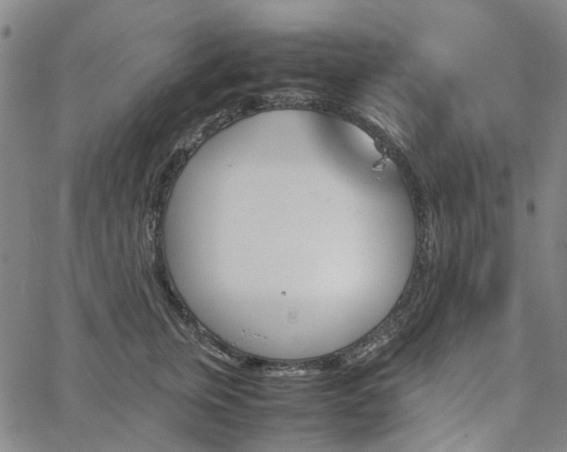 X0000067890759200604201309