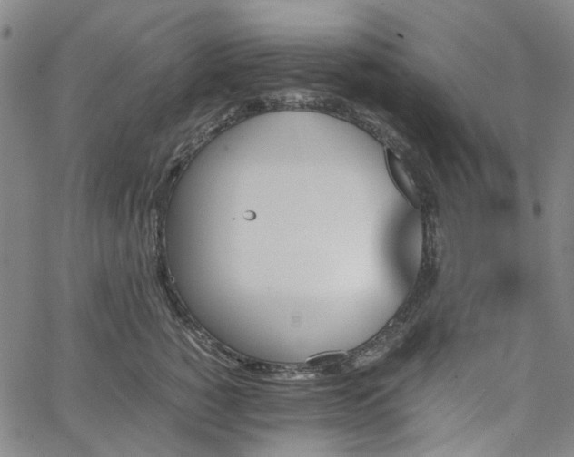 X0000067890760200604201309