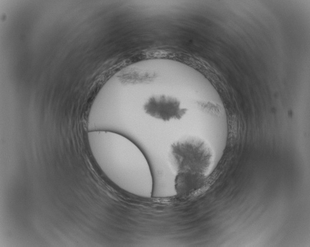 X0000067890761200604201309