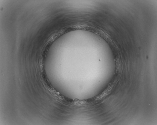 X0000067890762200604201309