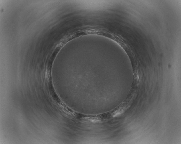 X0000067890763200604201309