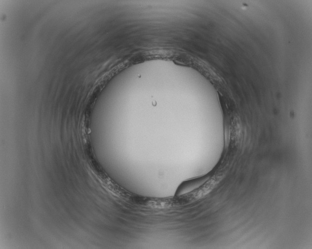 X0000067890764200604201309