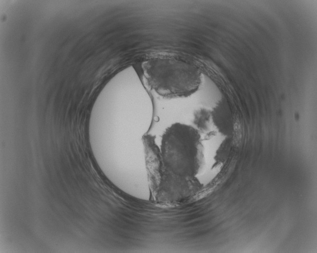 X0000067890765200604201309