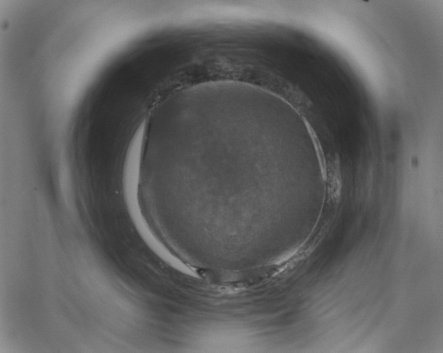 X0000067890766200604201309