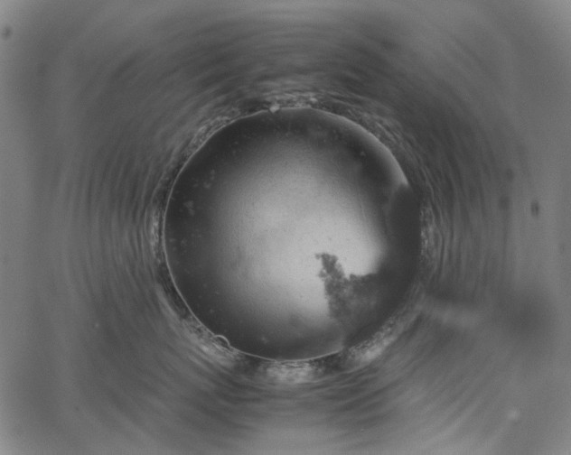 X0000067890767200604201309