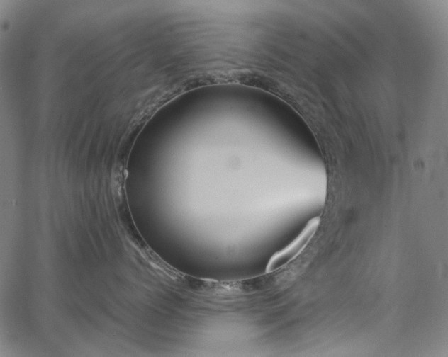 X0000067890768200604201309