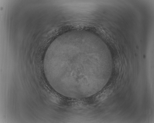 X0000067890769200604201308