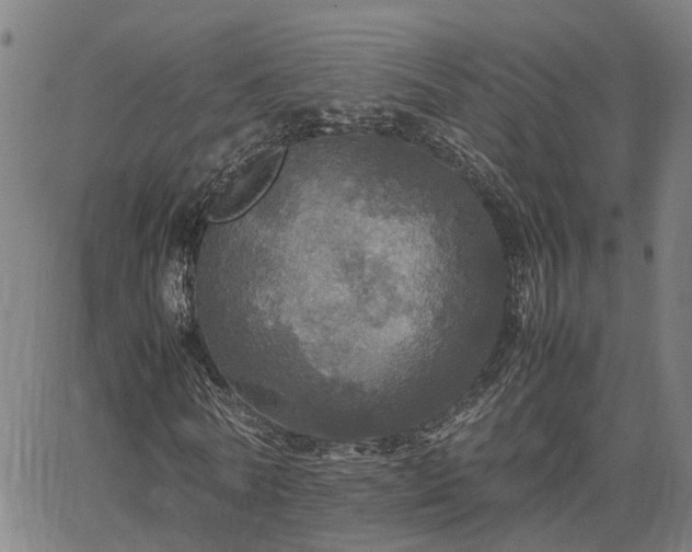 X0000067890770200604201308