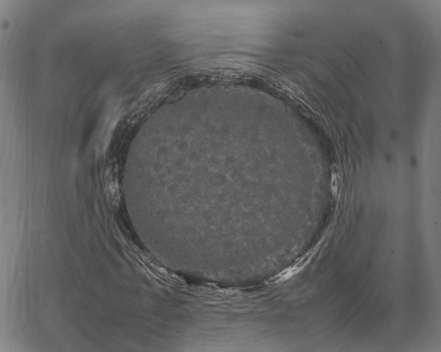 X0000067890771200604201308