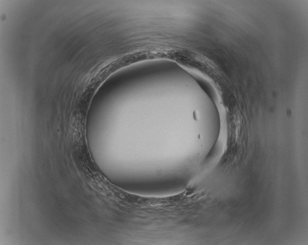 X0000067890773200604201308