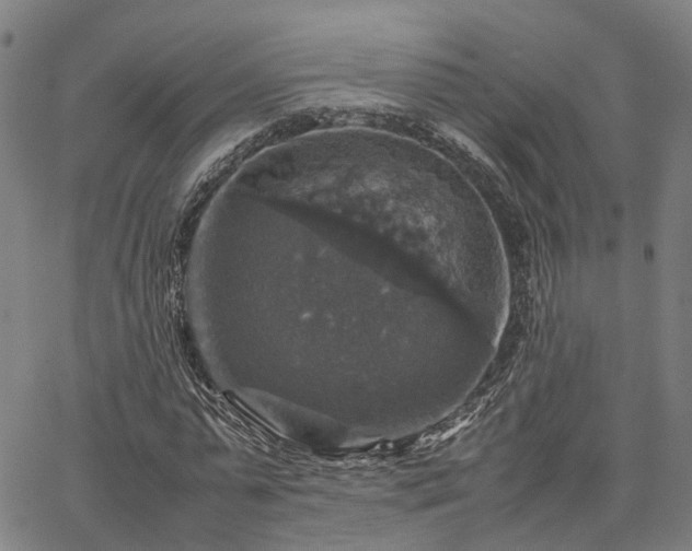 X0000067890775200604201308