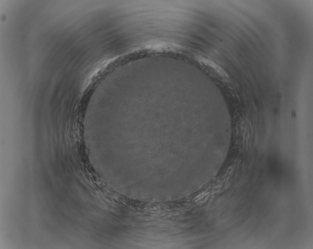 X0000067890776200604201308