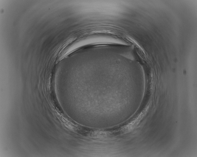 X0000067890777200604201308