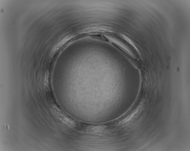 X0000067890778200604201308