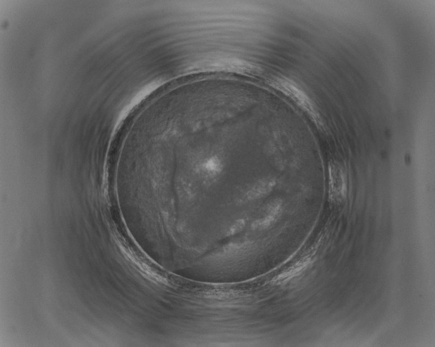 X0000067890780200604201308