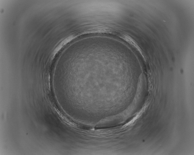 X0000067890781200604201308