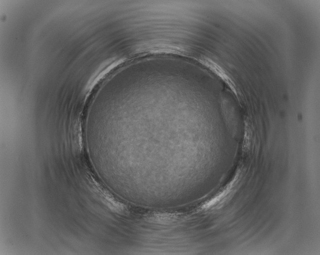 X0000067890782200604201308