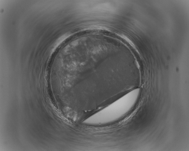 X0000067890783200604201308