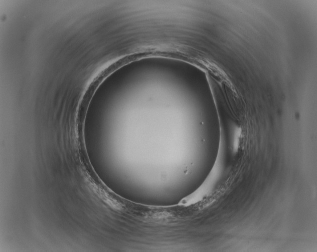 X0000067890784200604201308