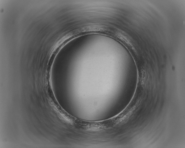 X0000067890786200604201308