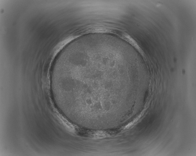 X0000067890787200604201308