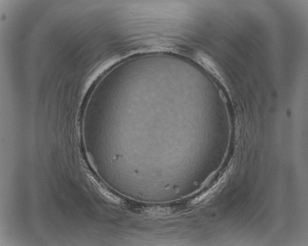 X0000067890789200604201308